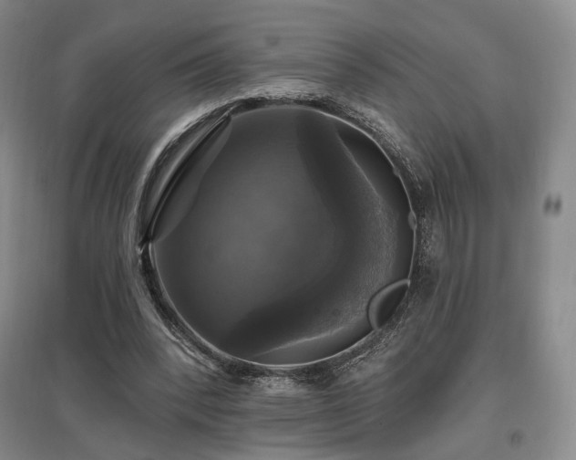 X0000097490392200802221420