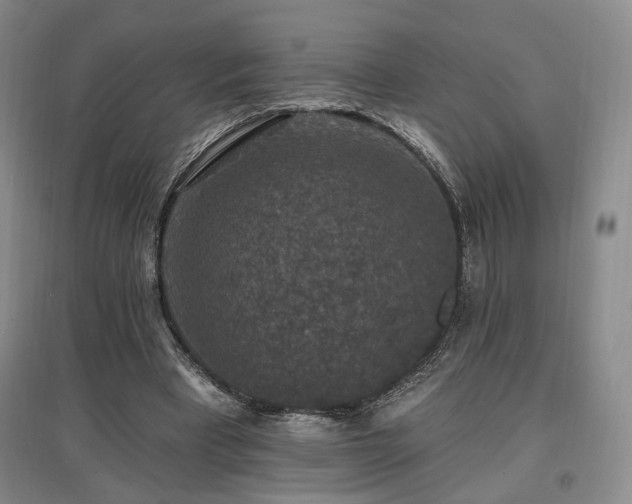 X0000097490393200802221420