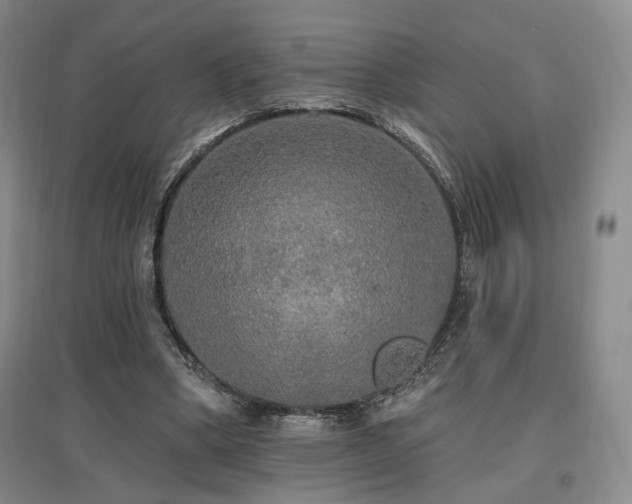 X0000097490394200802221420