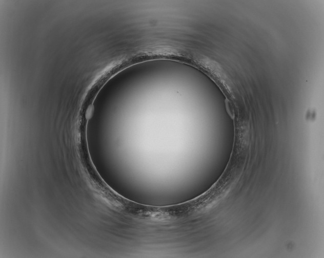 X0000097490395200802221420