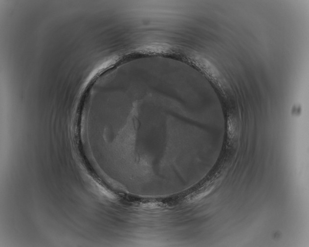 X0000097490396200802221420