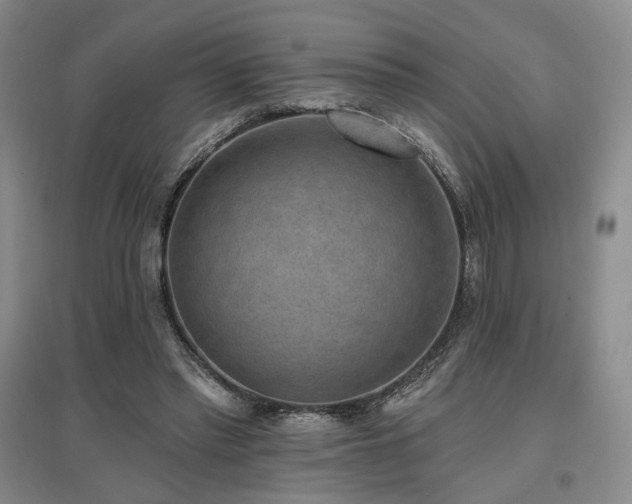 X0000097490397200802221420