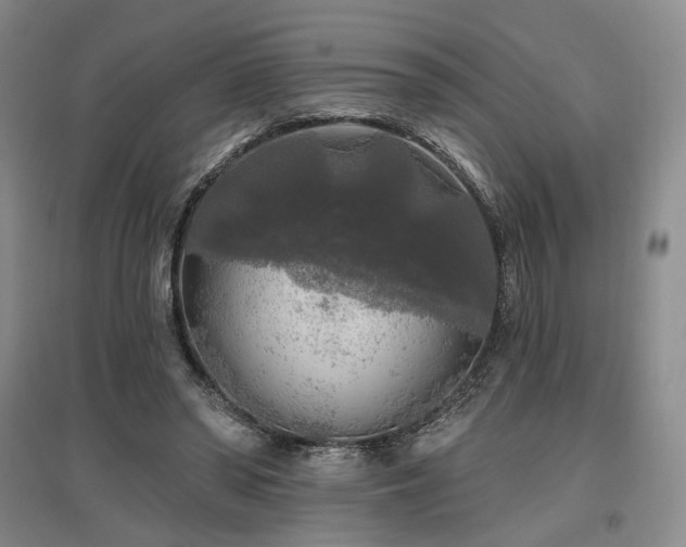 X0000097490398200802221420