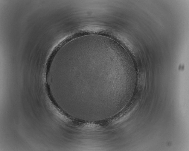 X0000097490399200802221420