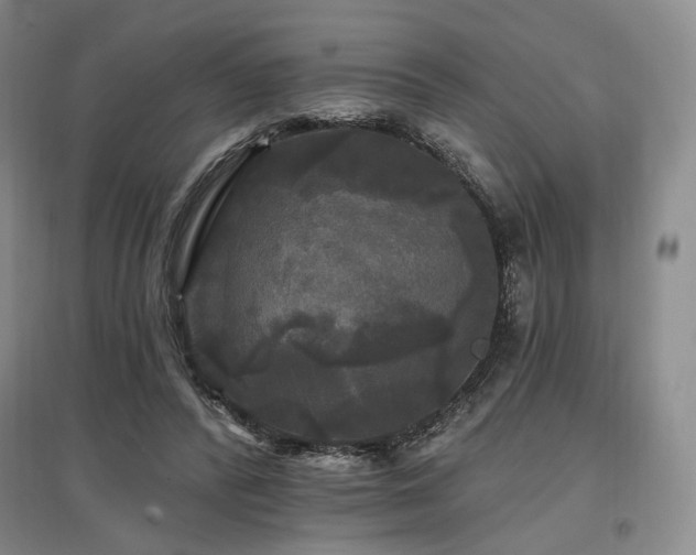 X0000097490400200802221420