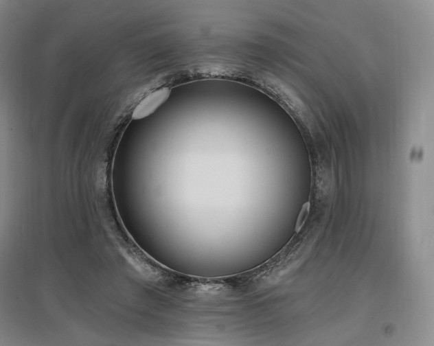 X0000097490401200802221420