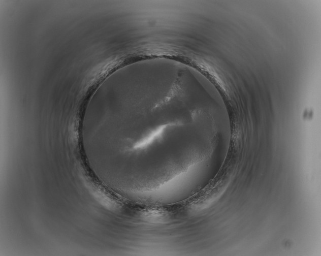 X0000097490402200802221420