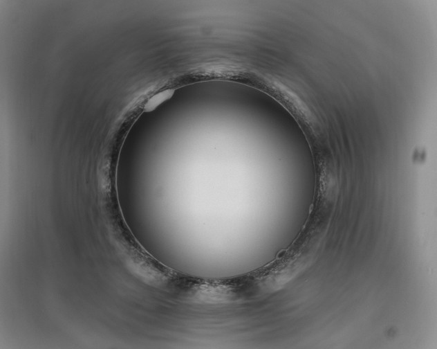 X0000097490403200802221420