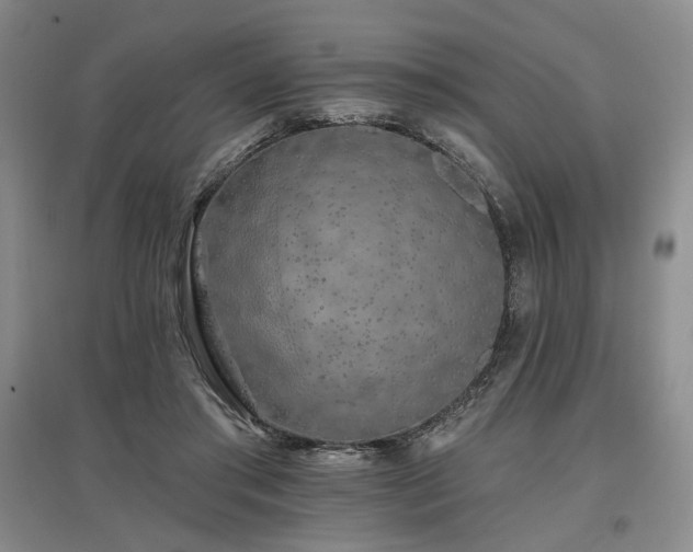 X0000097490405200802221420