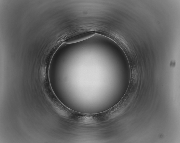 X0000097490406200802221420