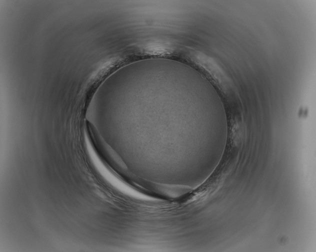 X0000097490407200802221420