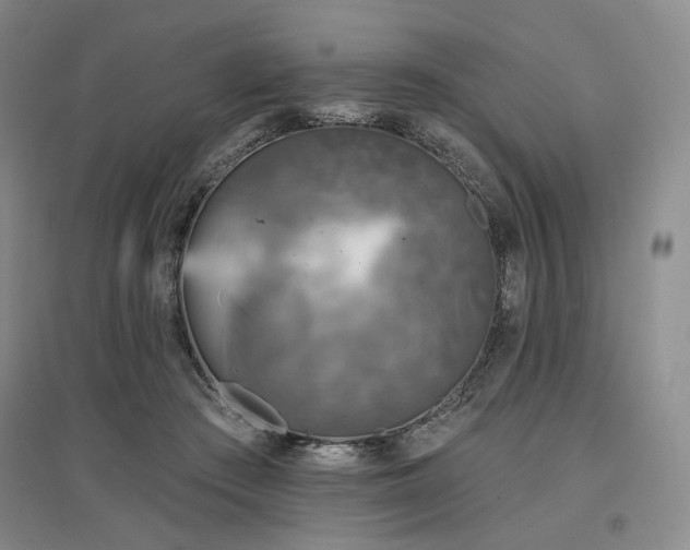 X0000097490409200802221420