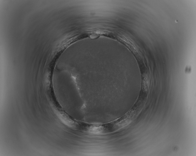 X0000097490410200802221420