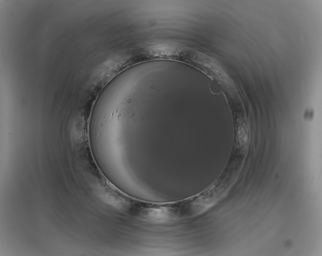 X0000097490411200802221419