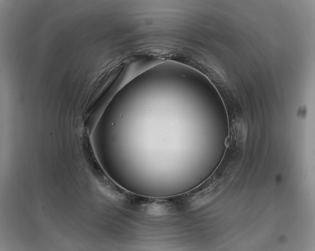 X0000097490412200802221419