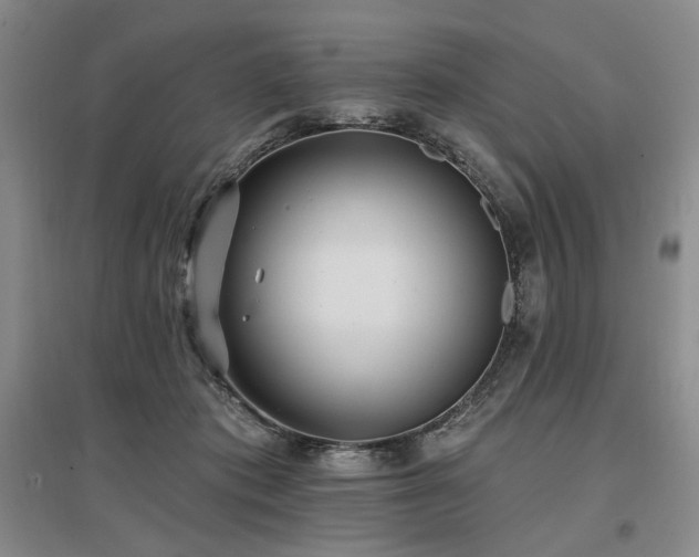 X0000097490413200802221419