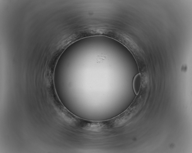 X0000097490414200802221419