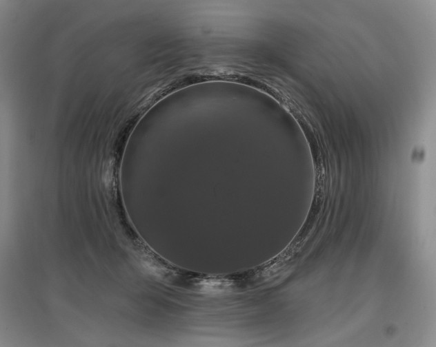 X0000097490415200802221419