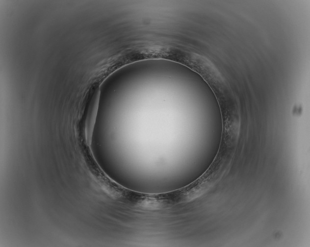 X0000097490416200802221419