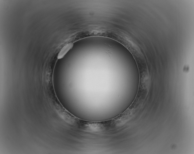 X0000097490417200802221419