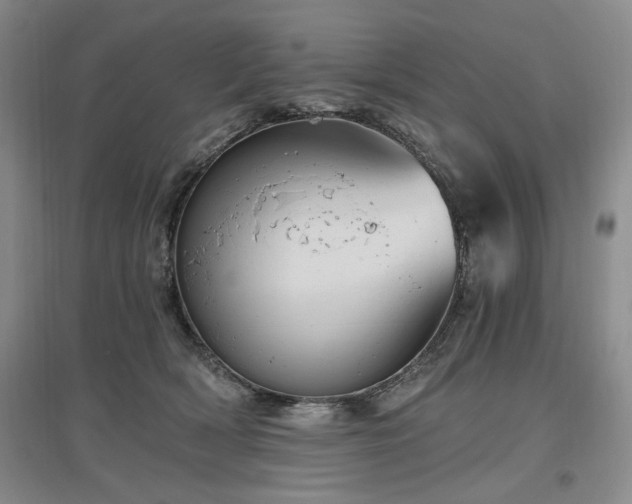 X0000097490418200802221419