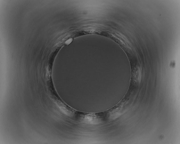 X0000097490420200802221419