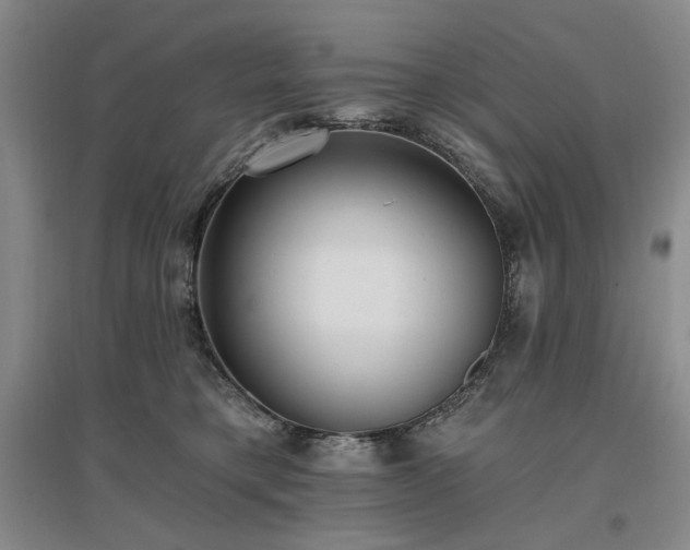 X0000097490421200802221419