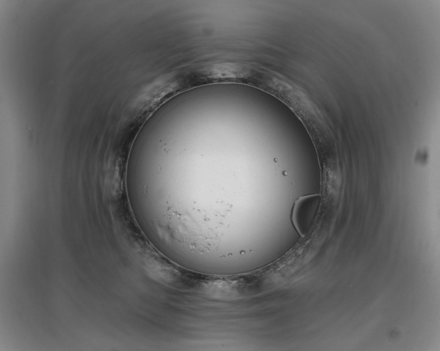 X0000097490422200802221419