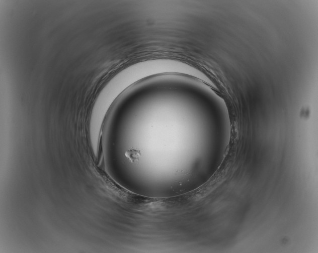 X0000097490423200802221419