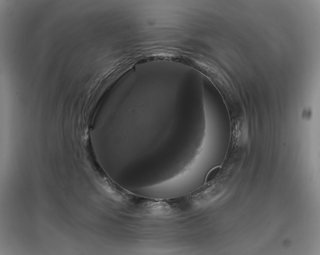 X0000097490424200802221419