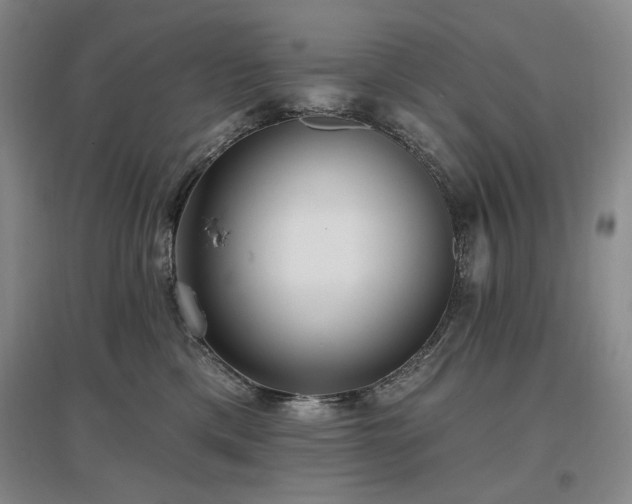 X0000097490425200802221419