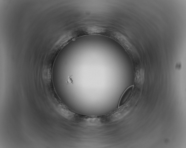 X0000097490426200802221419