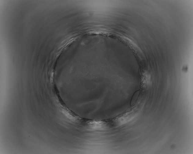 X0000097490428200802221419