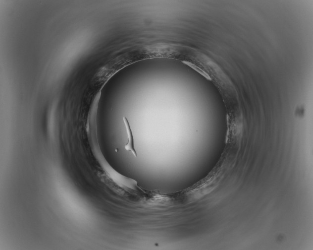 X0000097490429200802221419