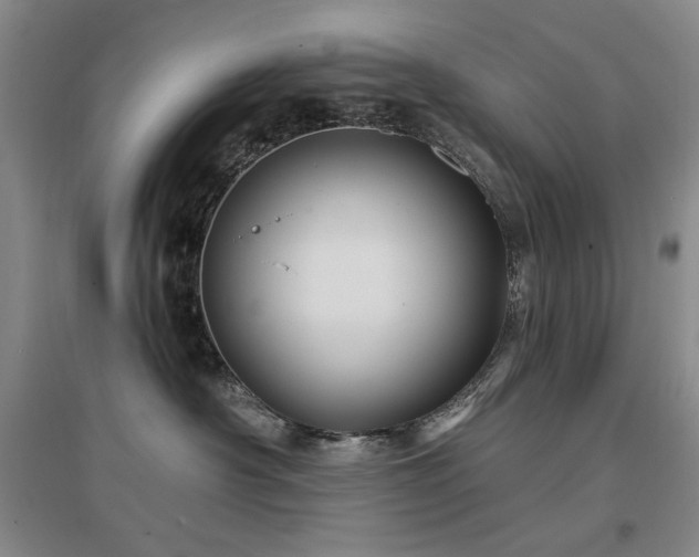 X0000097490430200802221419