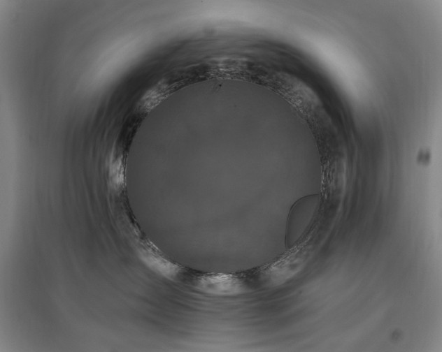 X0000097490431200802221419