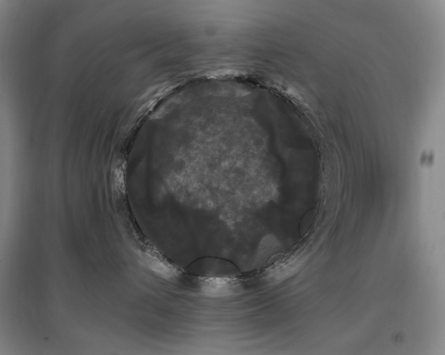 X0000097490432200802221419