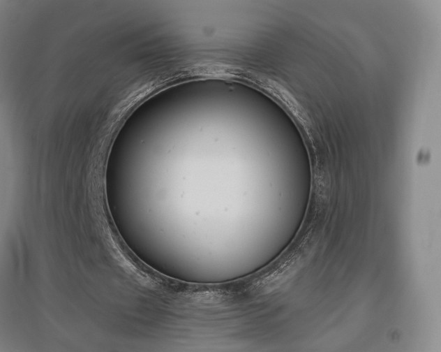 X0000097490433200802221418