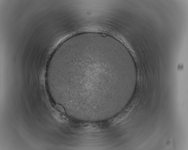 X0000097490434200802221418