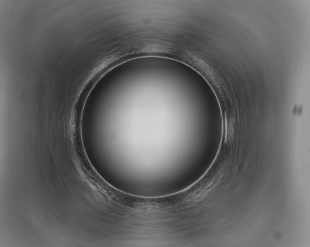 X0000097490435200802221418