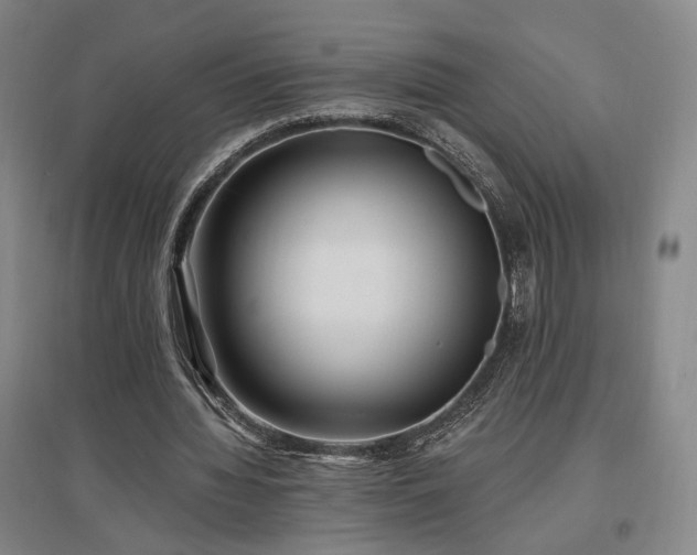 X0000097490436200802221418