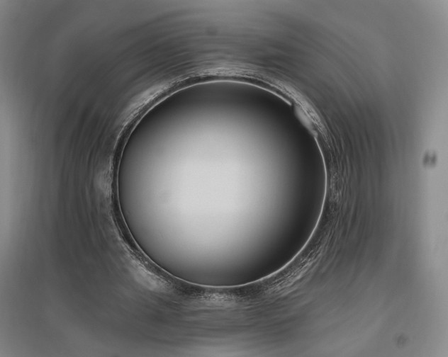 X0000097490437200802221418