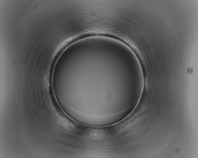 X0000097490438200802221418