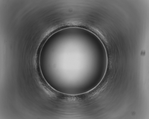 X0000097490439200802221418