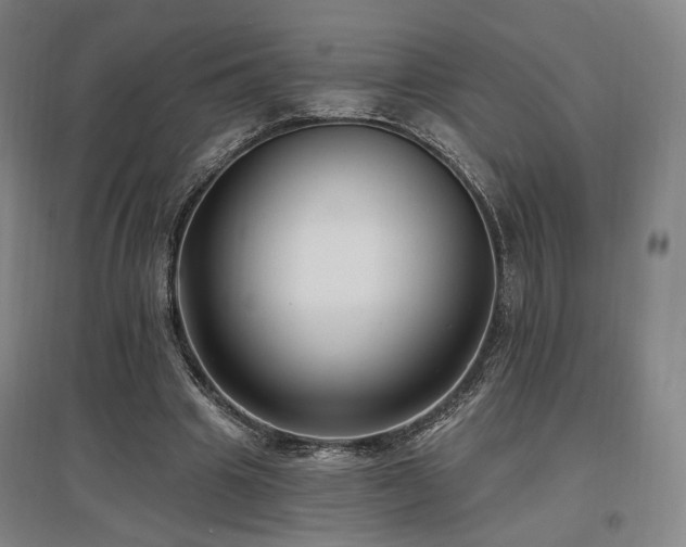 X0000097490441200802221418