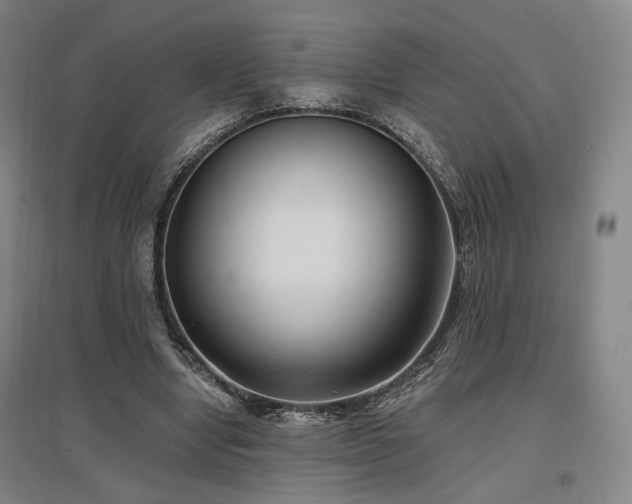 X0000097490442200802221418