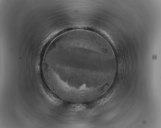 X0000097490443200802221419