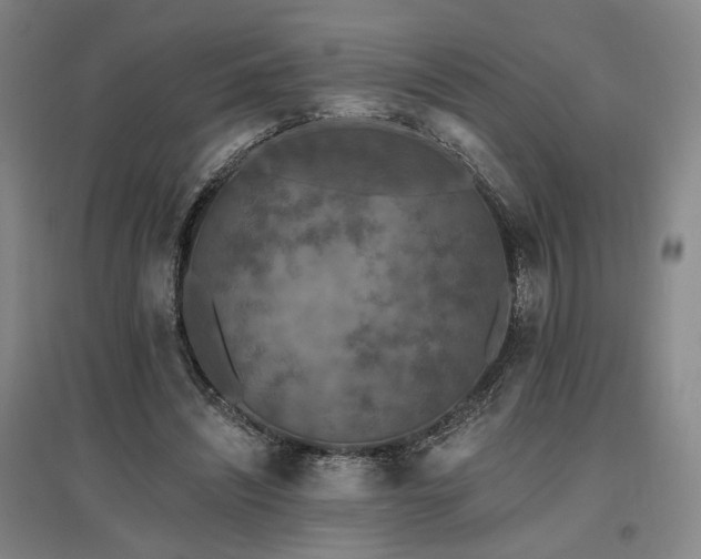 X0000097490444200802221419