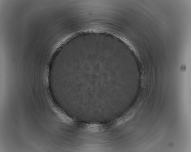 X0000097490446200802221419