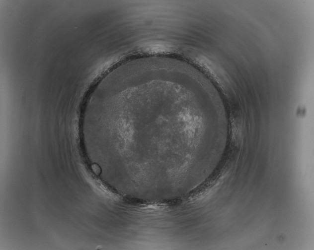 X0000097490447200802221419